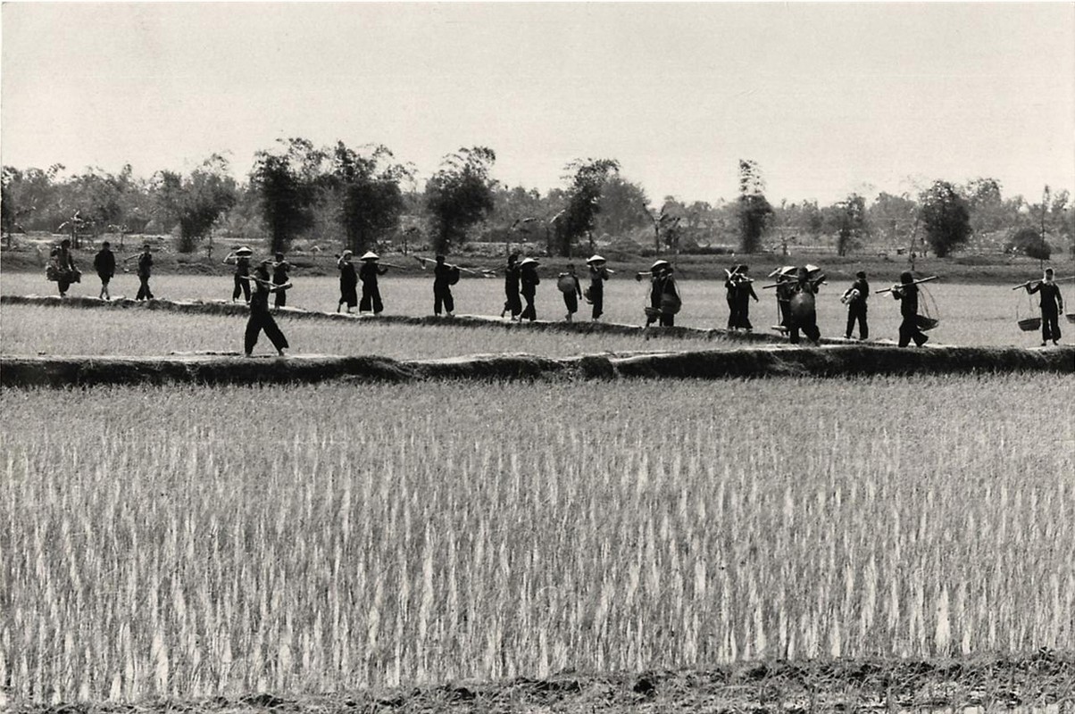 Anh doc mien Bac Viet Nam 1967 cua phong vien My (2)-Hinh-9