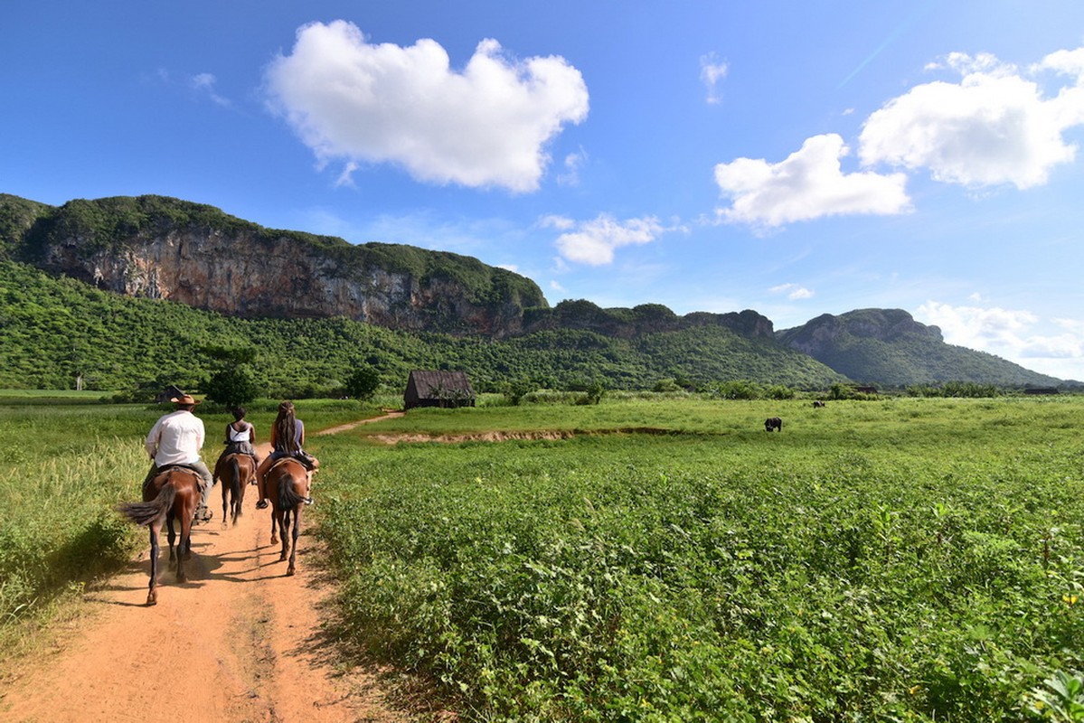 Kham pha thung lung xi ga huyen thoai cua Cuba-Hinh-4