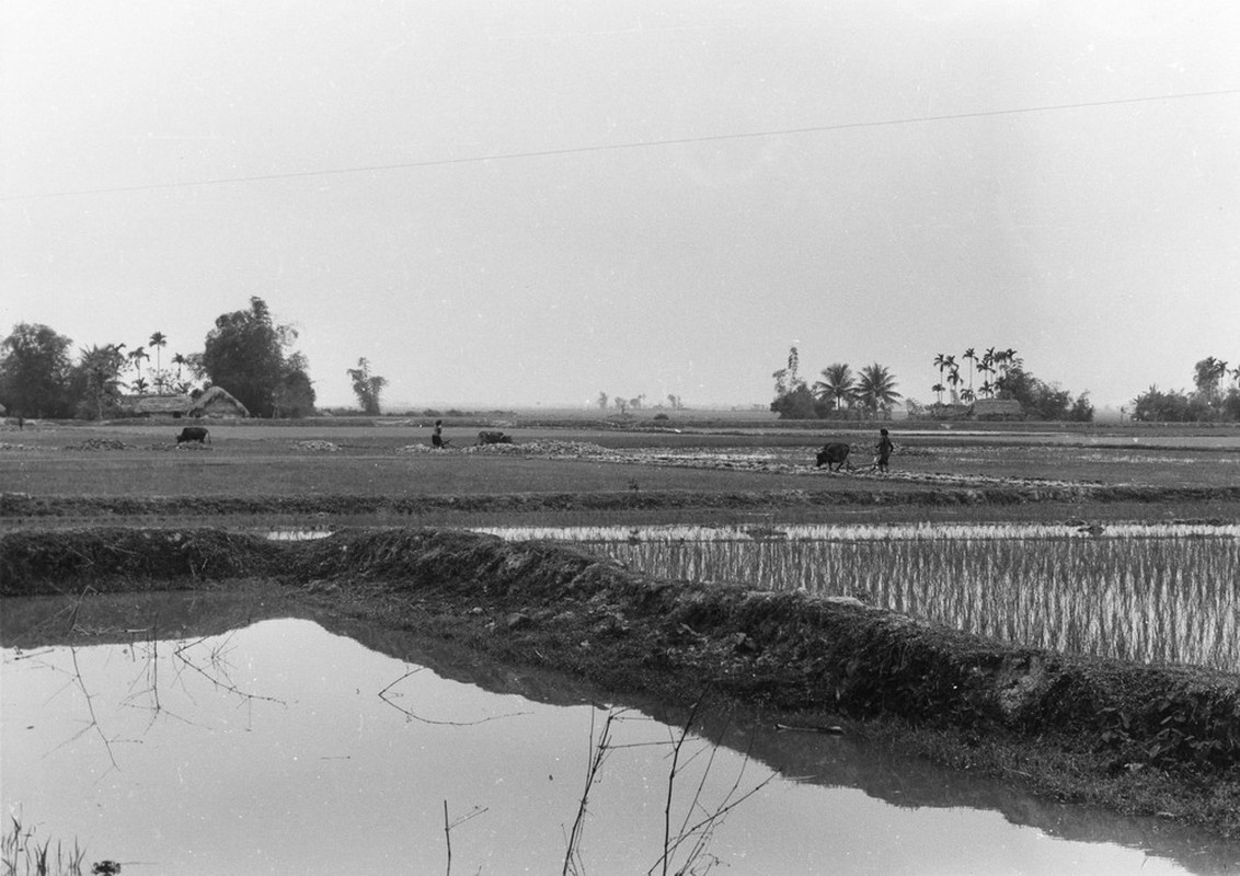 Mien Bac Viet Nam 1967 dep la trong mat nguoi My (1)-Hinh-3