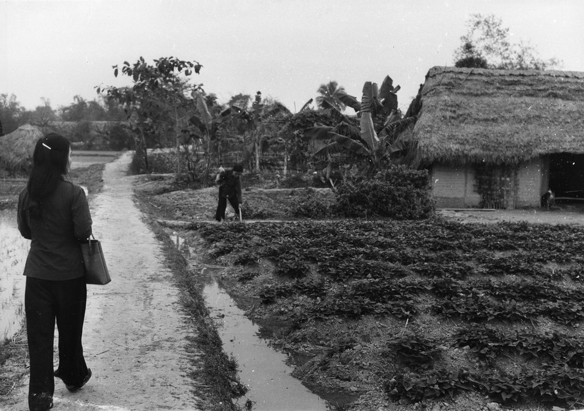 Mien Bac Viet Nam nam 1967 dep la trong mat nguoi My (2)-Hinh-13