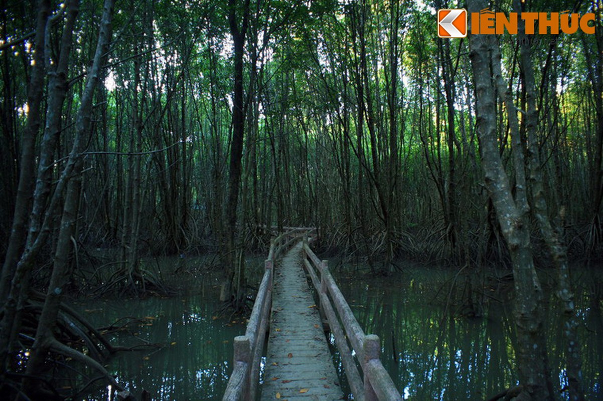 Ngat ngay truoc canh dep kho cuong o dat mui Ca Mau-Hinh-11