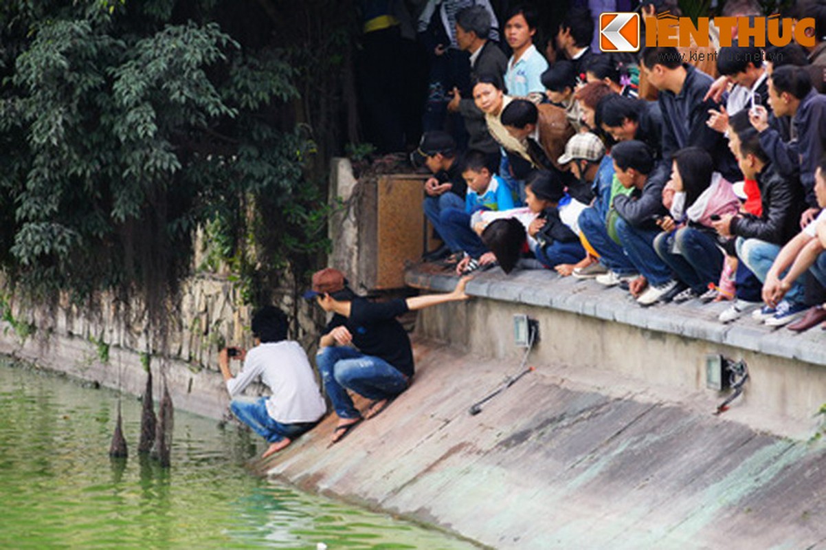 1.001 kieu xem cu Rua Ho Guom noi o Ha Noi-Hinh-20