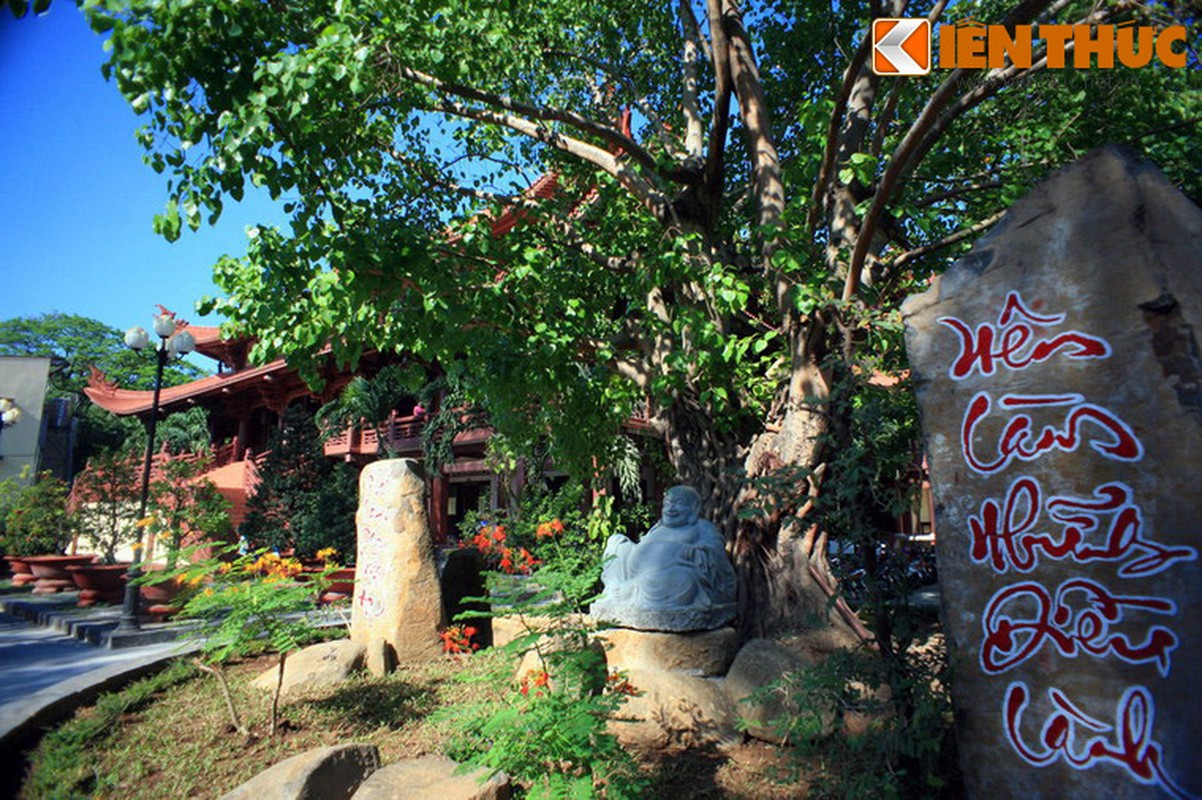 Kham pha ve dep cua ngoi chua rong nhat Sai Gon-Hinh-11