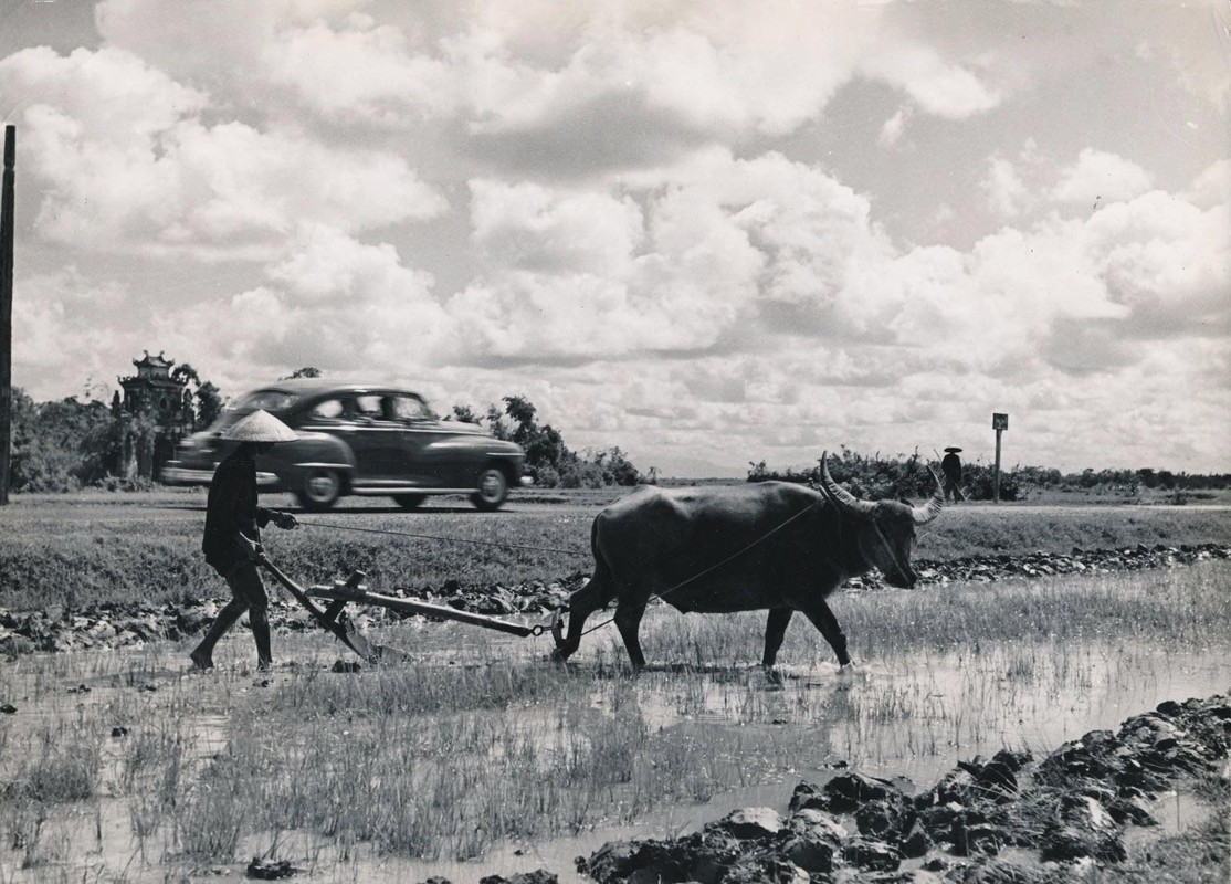 Anh dep moi cong bo ve Dong Duong thap nien 1950-Hinh-5