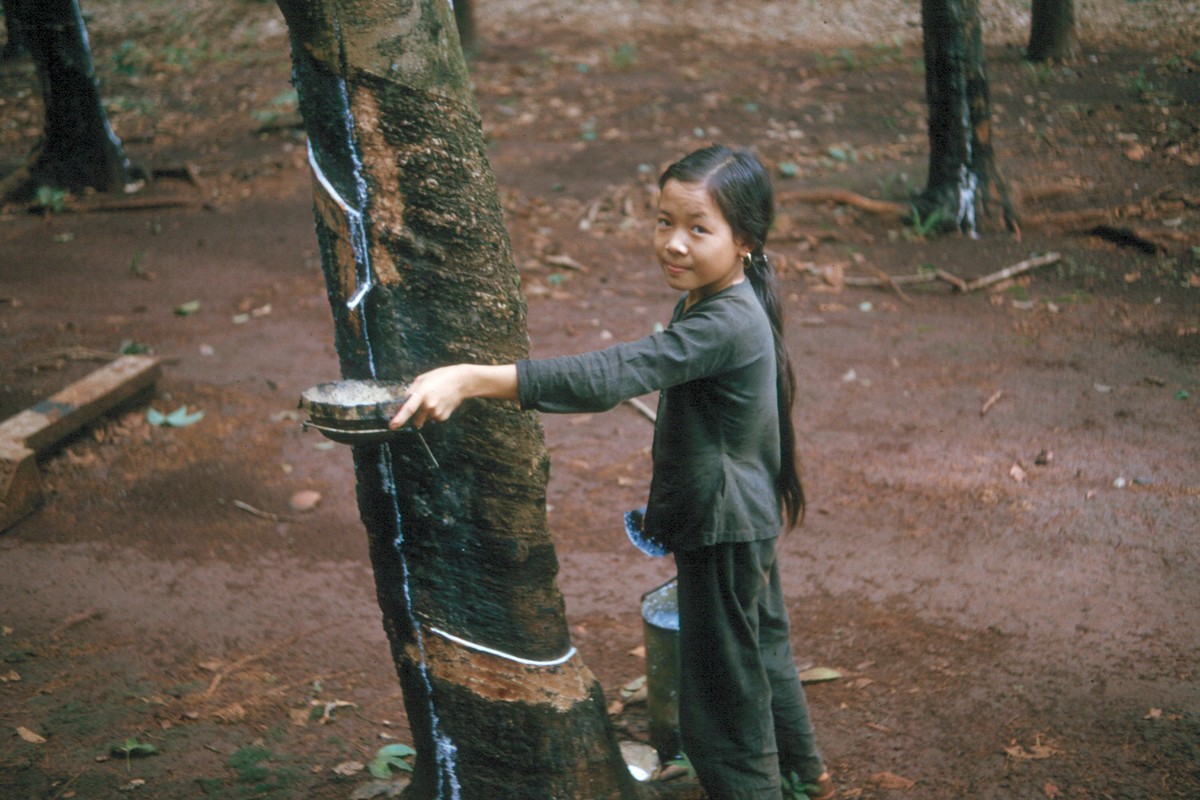 Anh cuc sinh dong ve dien mao mien Nam nam 1965-Hinh-10