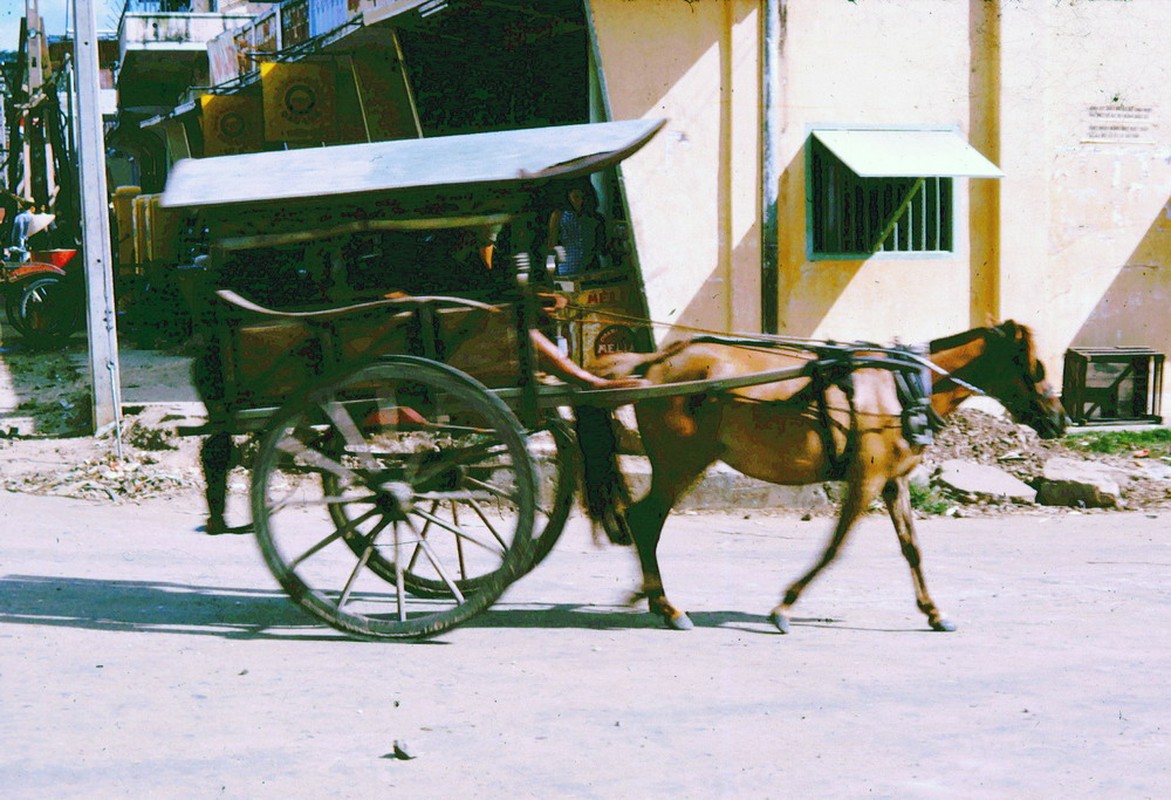 Nhung buc anh tuyet dep ve Tay Ninh nam 1965-Hinh-17