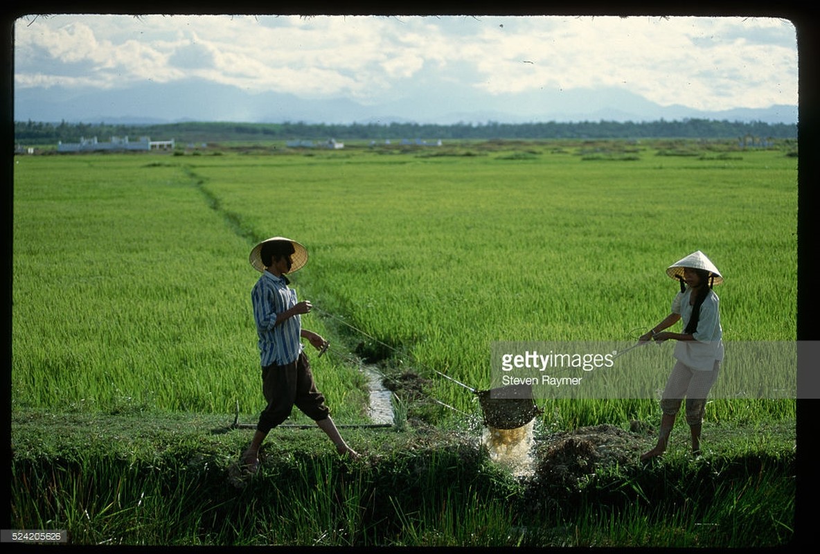 Viet Nam nam 1993 trong anh cua Steve Raymer (1)-Hinh-7