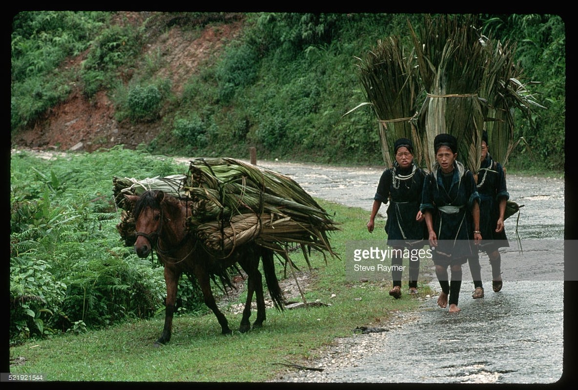 Viet Nam nam 1993 trong anh cua Steve Raymer (1)-Hinh-9