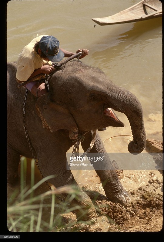 Loat anh hiem co kho tim ve Viet Nam nam 1994 (1)-Hinh-20