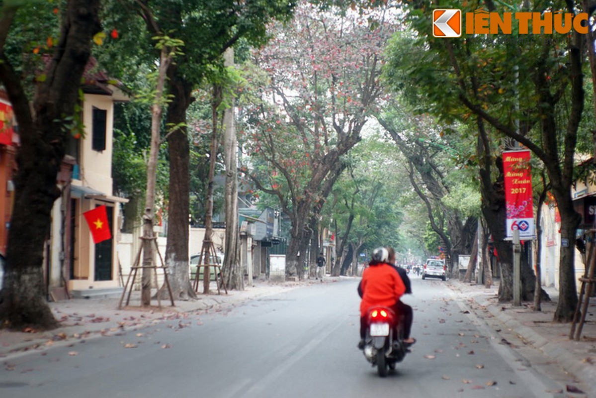 Khoanh khac yen tinh nhat o hai dau dat nuoc sang mung 1 Tet-Hinh-12