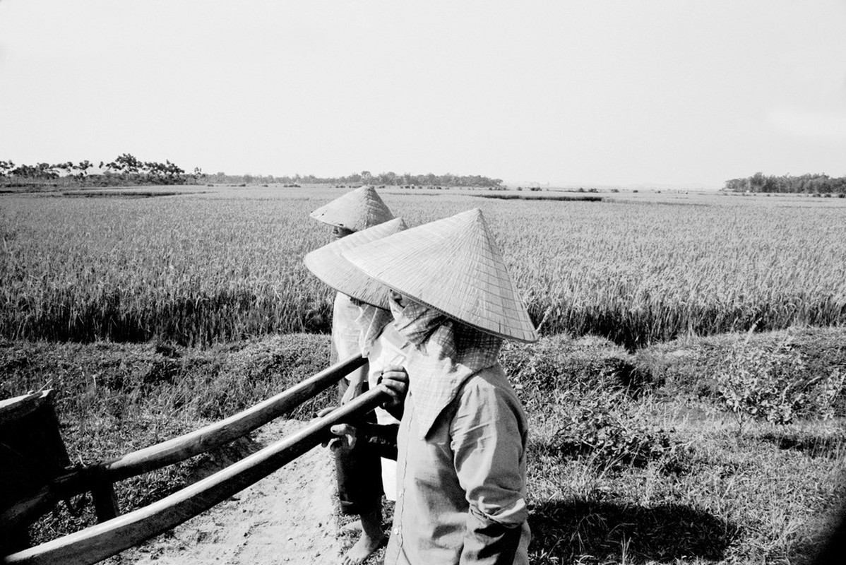 Loat anh “goc canh” ve Ha Noi nam 1990 cua Larry Towell (2)-Hinh-11
