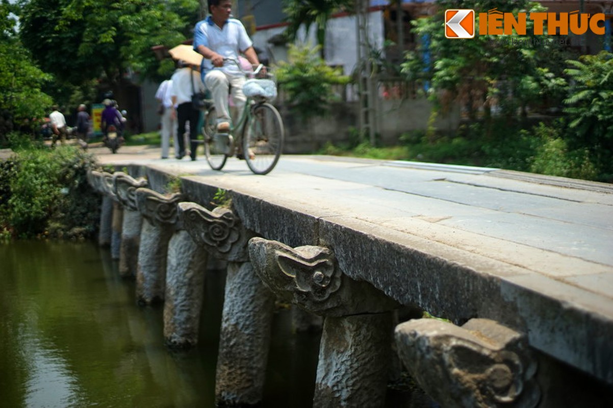 Chiem nguong cay cau da co dep nhat Bac Bo-Hinh-10