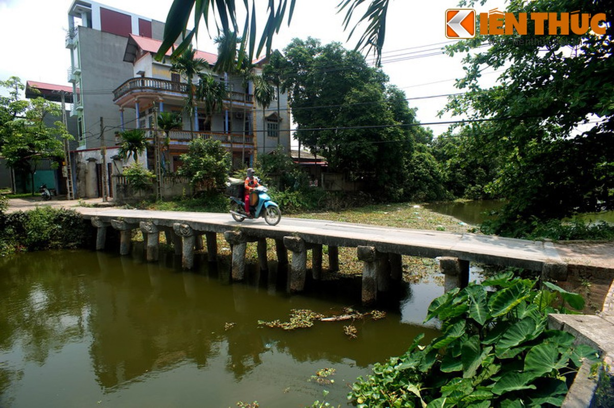 Chiem nguong cay cau da co dep nhat Bac Bo-Hinh-3