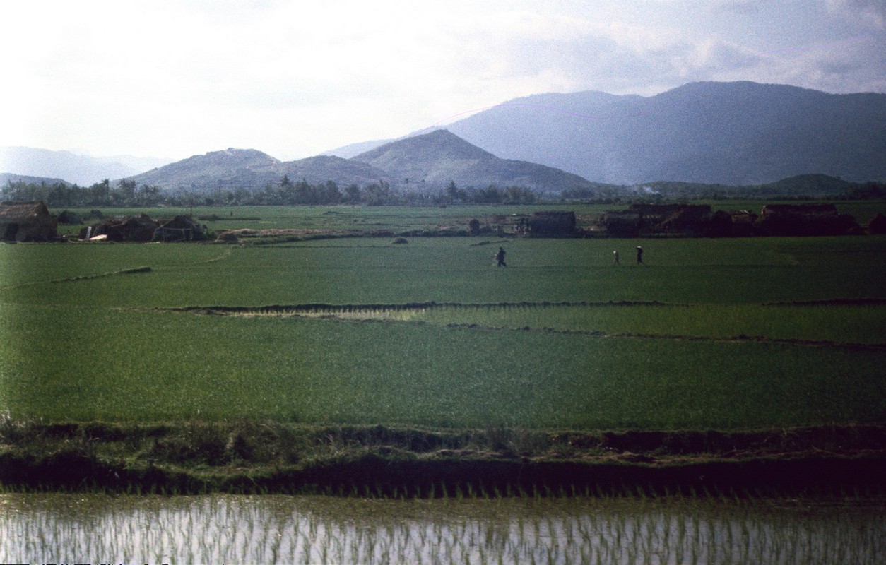 Anh phong canh dep hut hon ve Quang Ngai nam 1967 (1)-Hinh-4