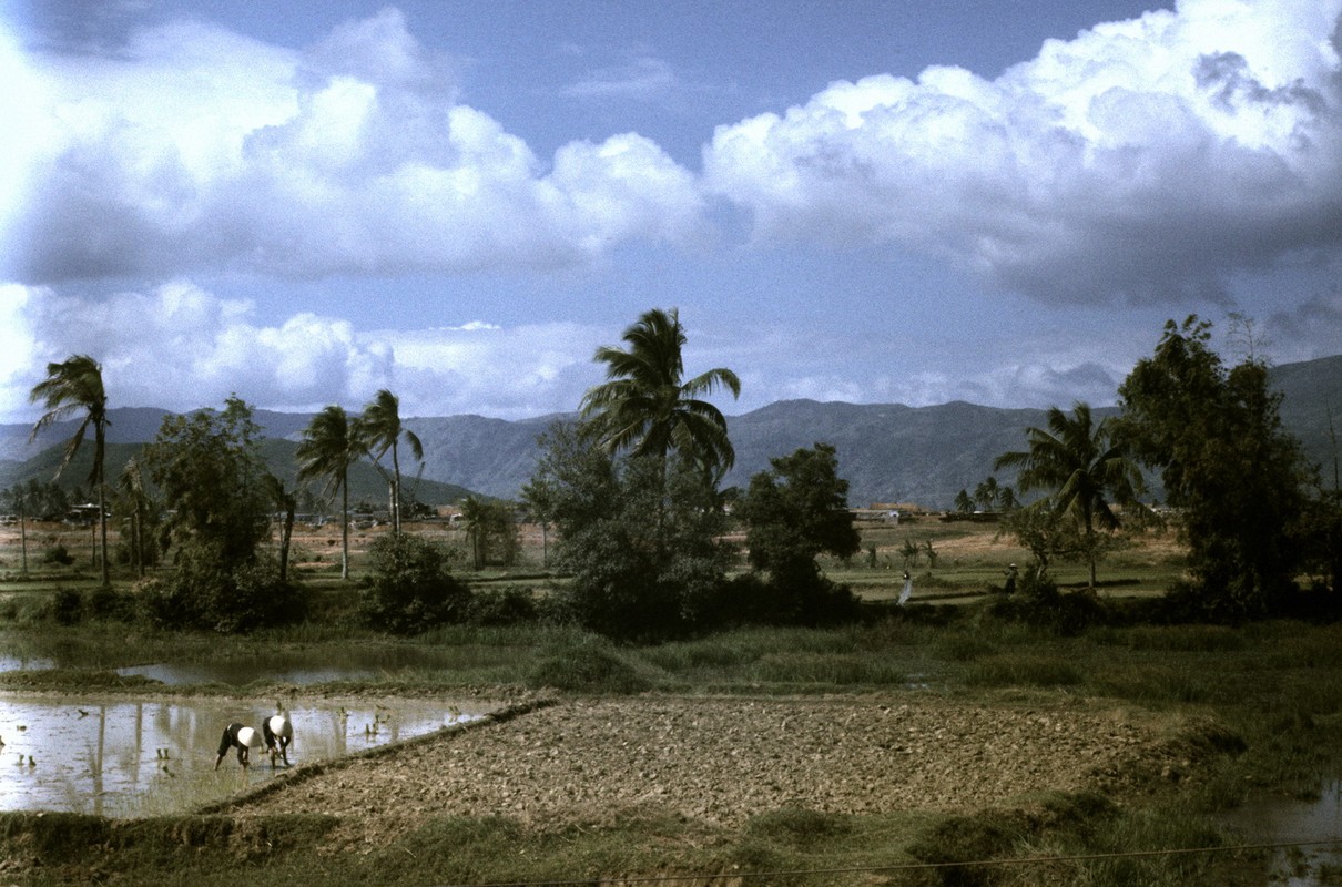 Anh phong canh dep hut hon ve Quang Ngai nam 1967 (2)