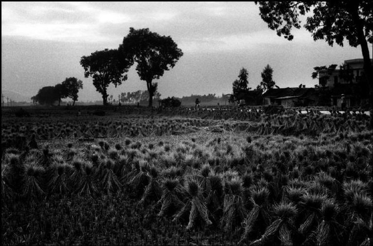 Ha Noi nam 1991 trong anh cua Patrick Zachmann (1)-Hinh-11