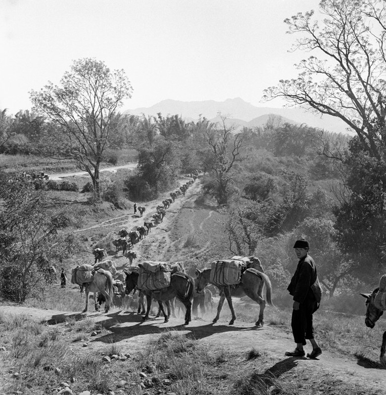 Myanmar nam 1942 qua ong kinh phong vien Anh (2)-Hinh-5