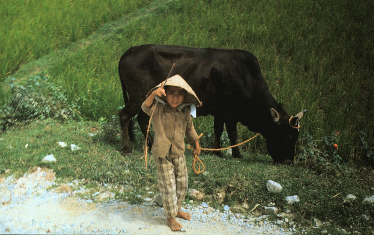 Quang Ngai nam 1967 qua ong kinh si quan phao binh My (2)-Hinh-13