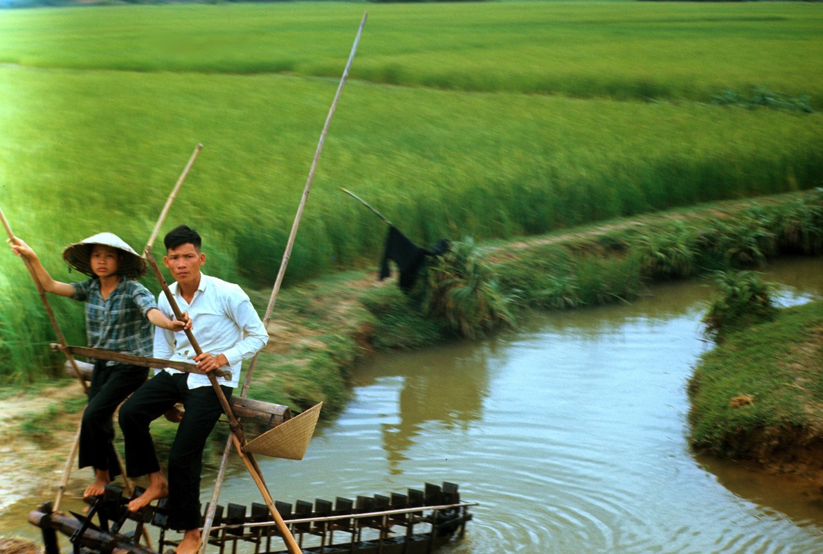 Quang Ngai nam 1967 qua ong kinh si quan phao binh My (2)-Hinh-8