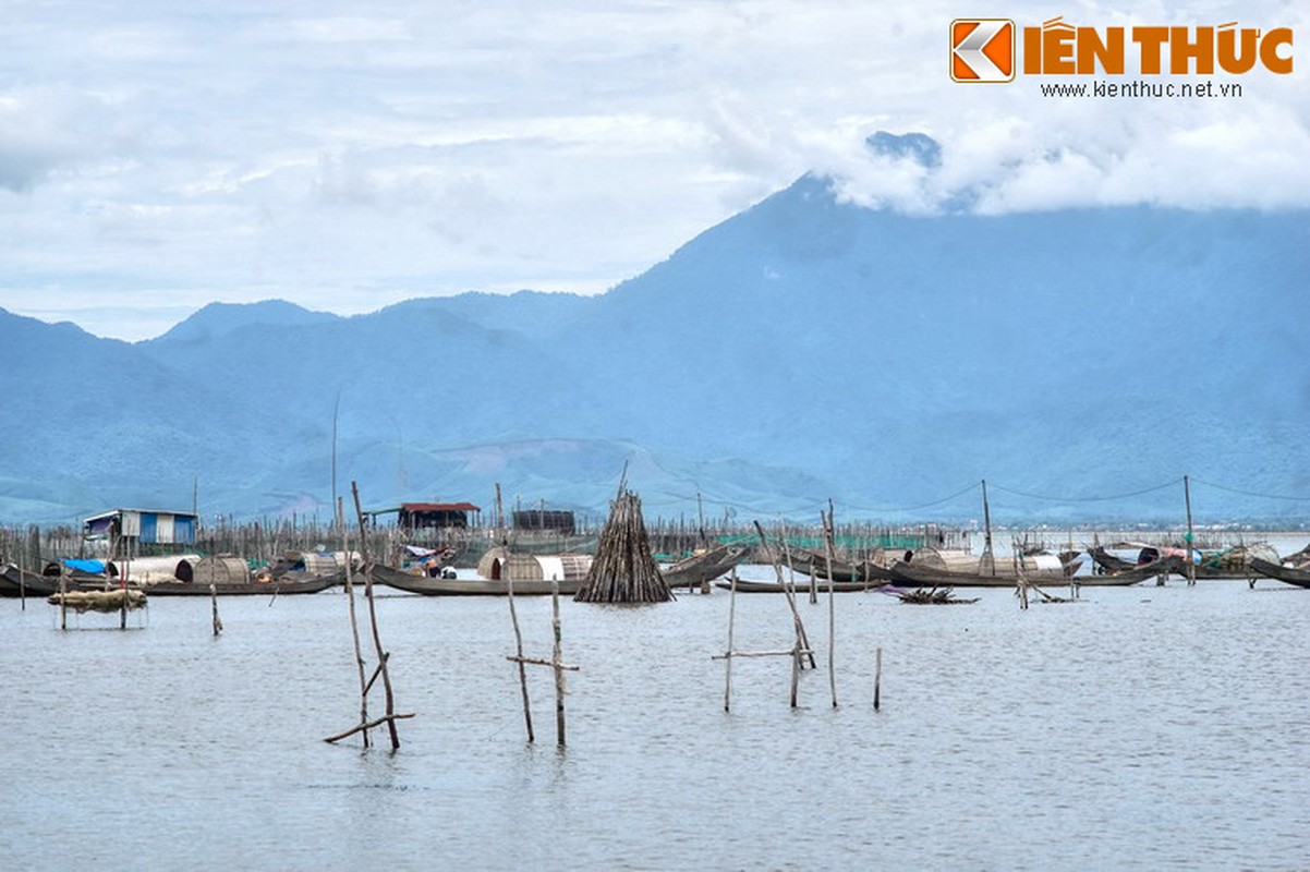 Lang ngam ve dep troi ban cua dam Cau Hai xu Hue-Hinh-16