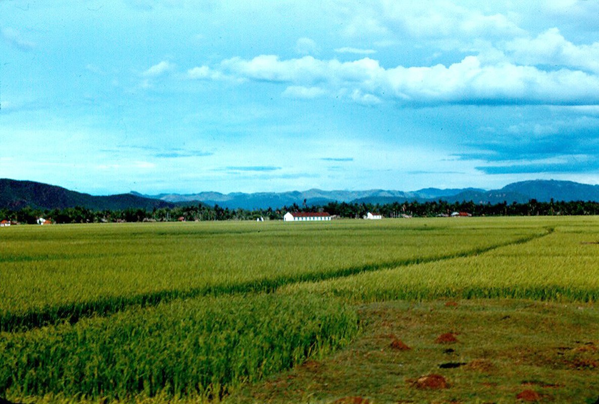 Anh hiem: Binh Dinh nam 1967 qua ong kinh John Hack-Hinh-13