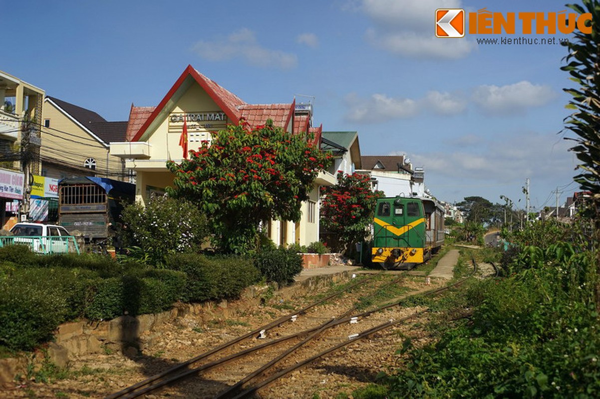 Giai ma nha ga co co suc song manh liet nhat Da Lat-Hinh-3