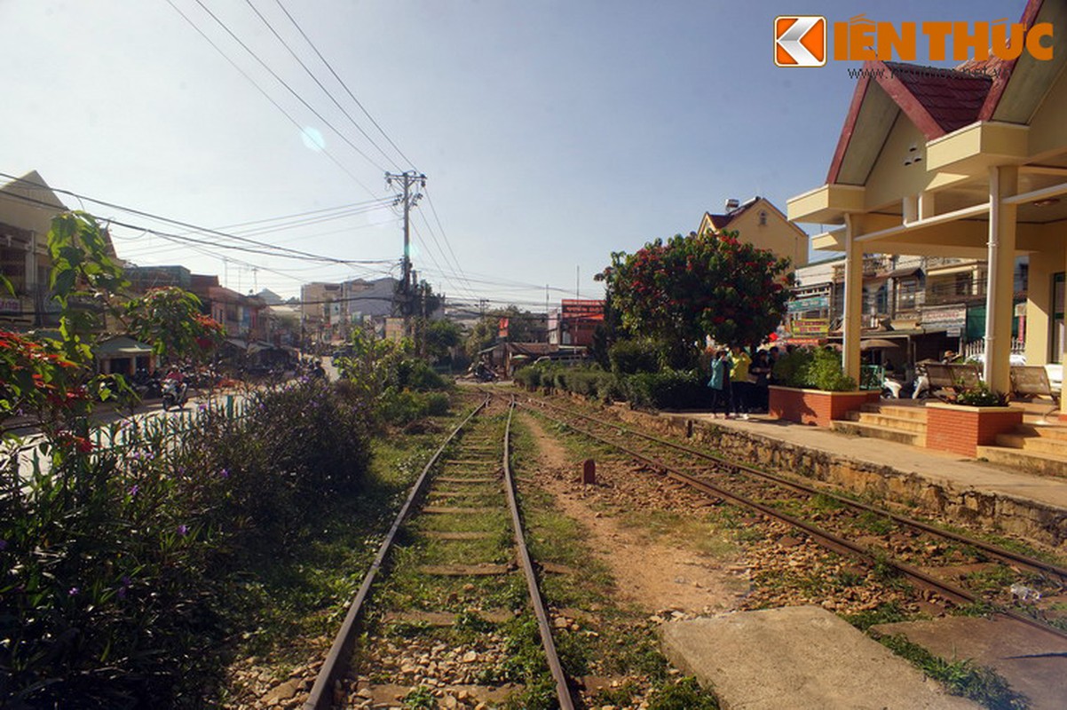 Giai ma nha ga co co suc song manh liet nhat Da Lat-Hinh-5