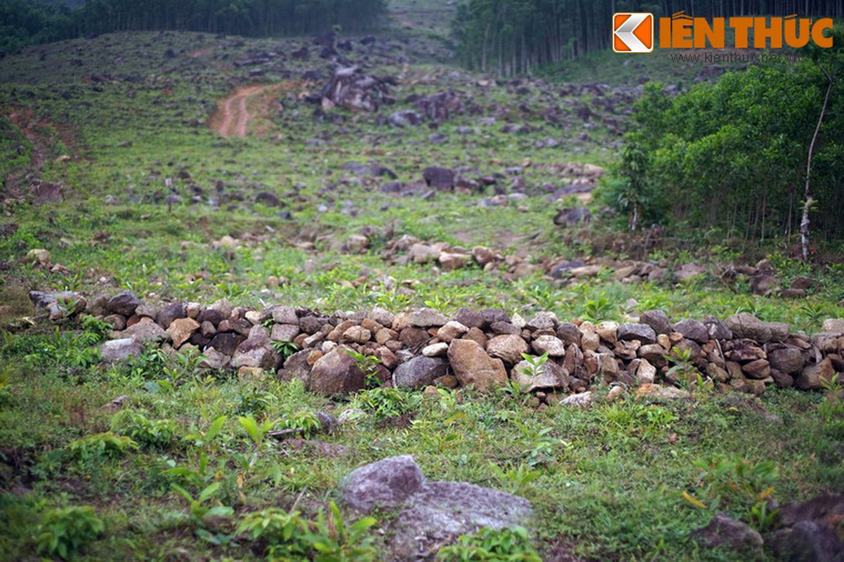 Nhung di tich lich su nhat dinh phai den tham o Quang Ngai-Hinh-15