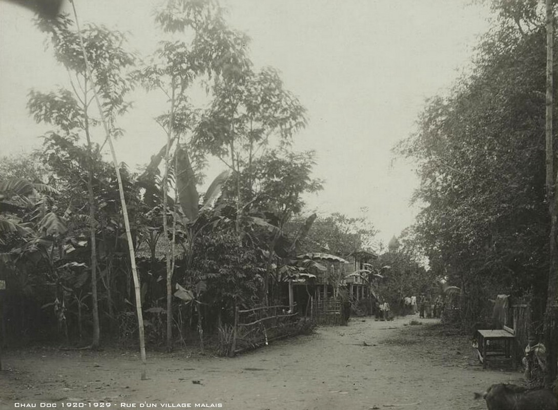 Anh cuc hiem ve tinh Chau Doc thap nien 1920 (2)-Hinh-13