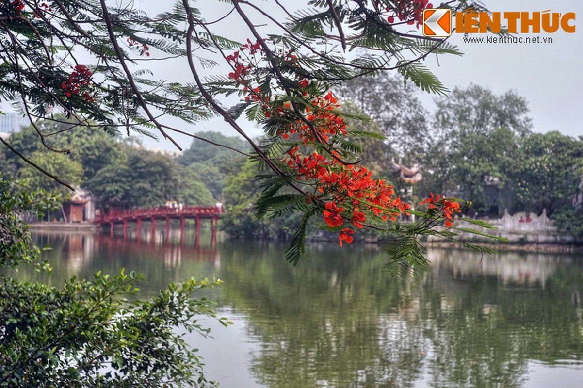 Dieu linh dieu rieng co o ngoi den noi tieng nhat Ha Noi-Hinh-2