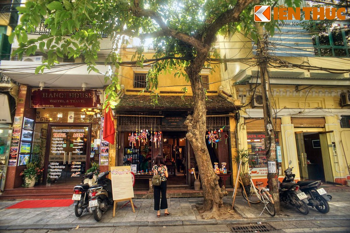 Bat ngo ngoi nha ong tram tuoi dep nhat pho co Ha Noi