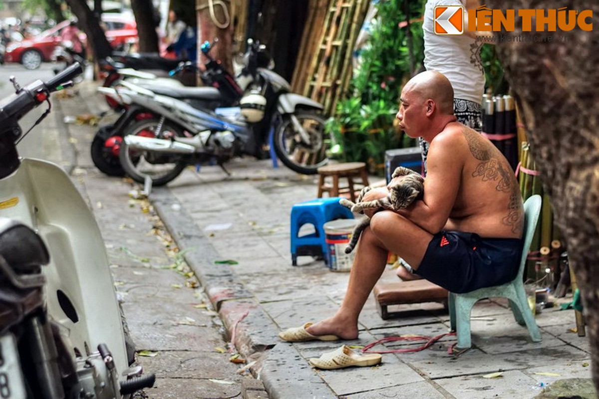 Canh tuong choang ngop o con pho doc nhat vo nhi Ha Noi-Hinh-4