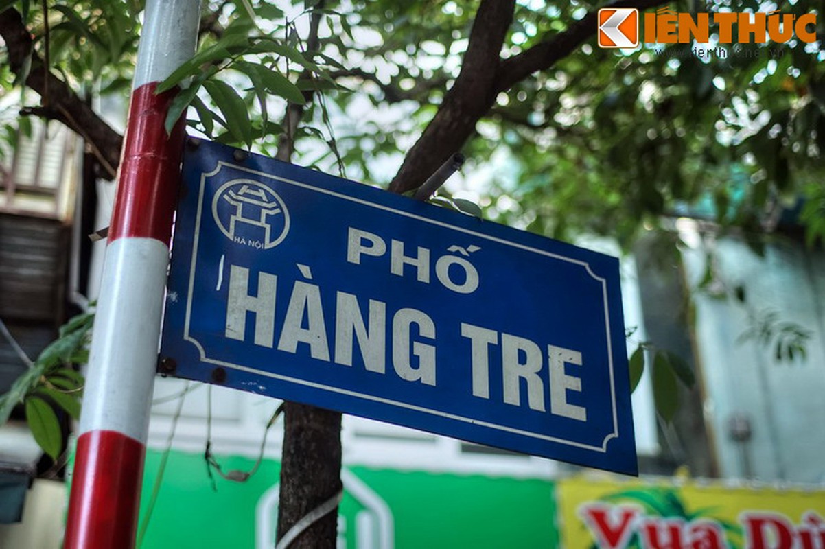 Dieu bat ngo ve con pho co tru so toa an co nhat Ha Noi-Hinh-2