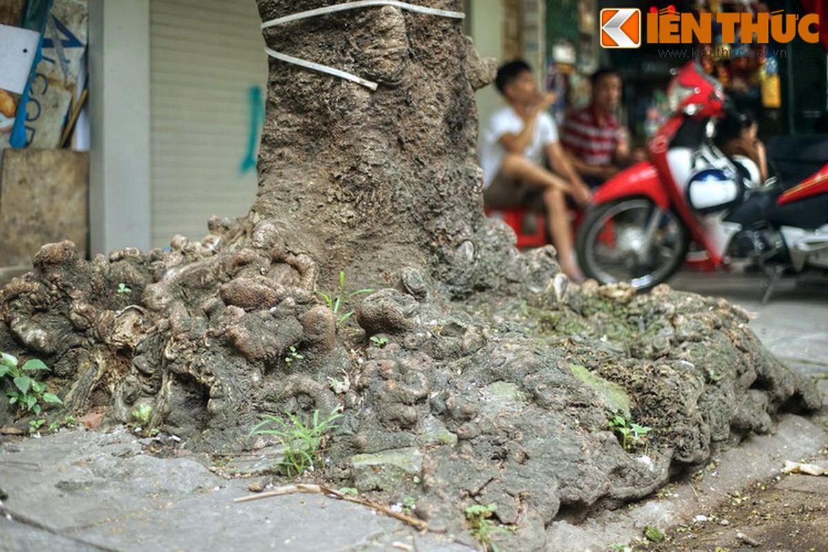 Thien duong gom su mot thoi cua Ha Noi gio noi tieng vi dieu gi?-Hinh-7