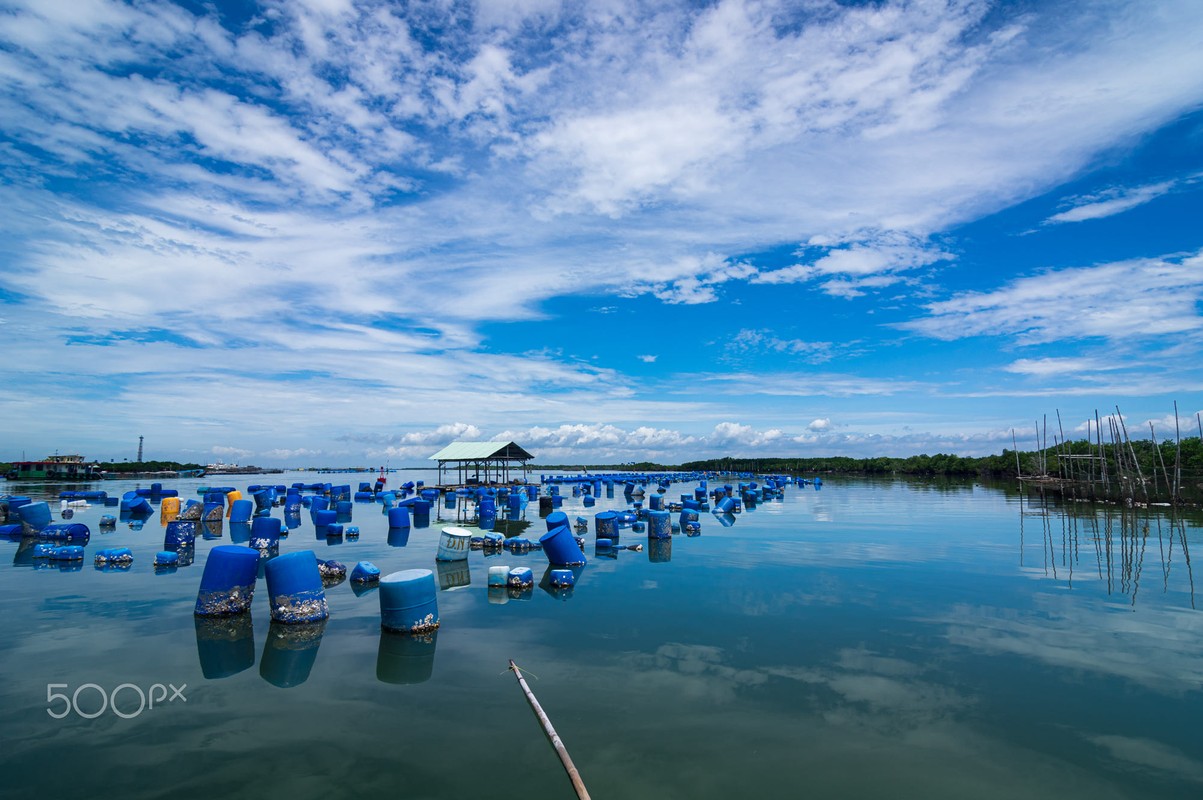 Vung Tau cuc quyen ru qua ong kinh khach Tay-Hinh-13