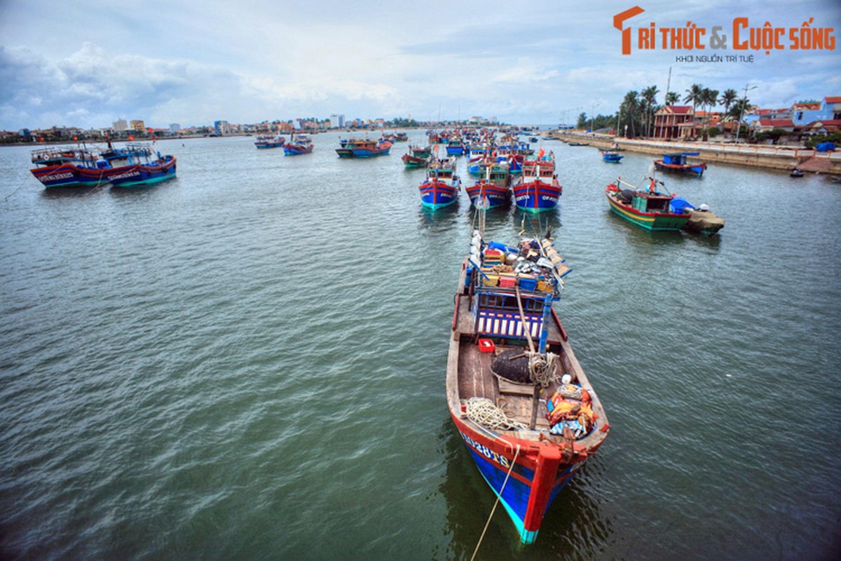 Vi sao Dong Hoi duoc goi la thanh pho Hoa Hong?-Hinh-6