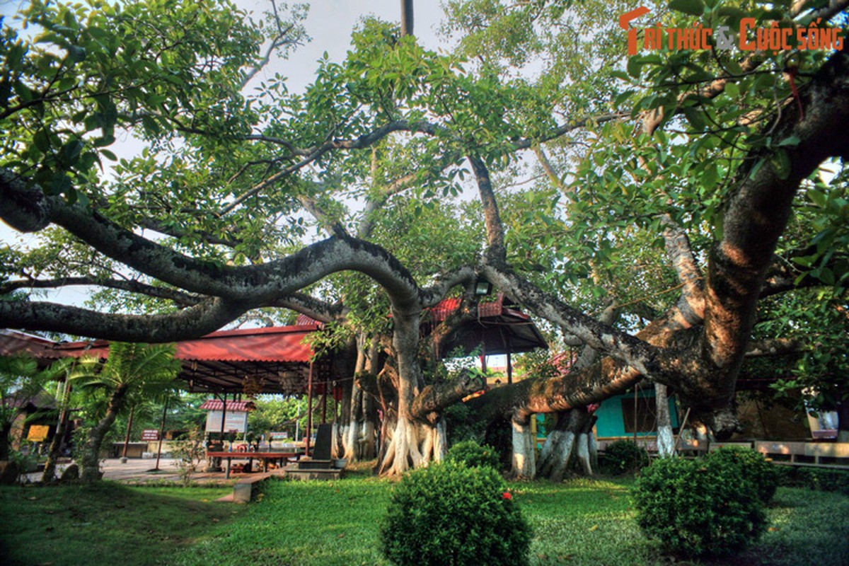 Bat ngo voi cac gia thuyet ve nguon goc ten goi Hai Phong-Hinh-2