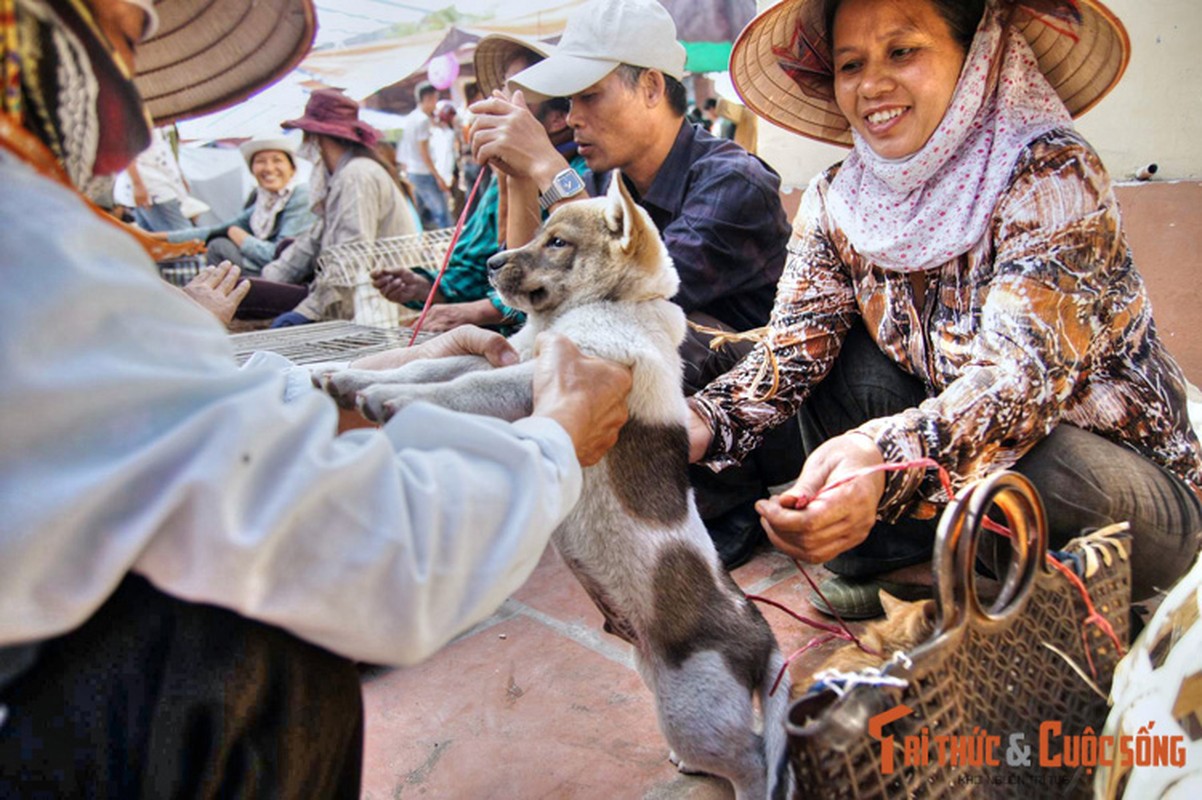 Bat ngo voi cac gia thuyet ve nguon goc ten goi Hai Phong-Hinh-6