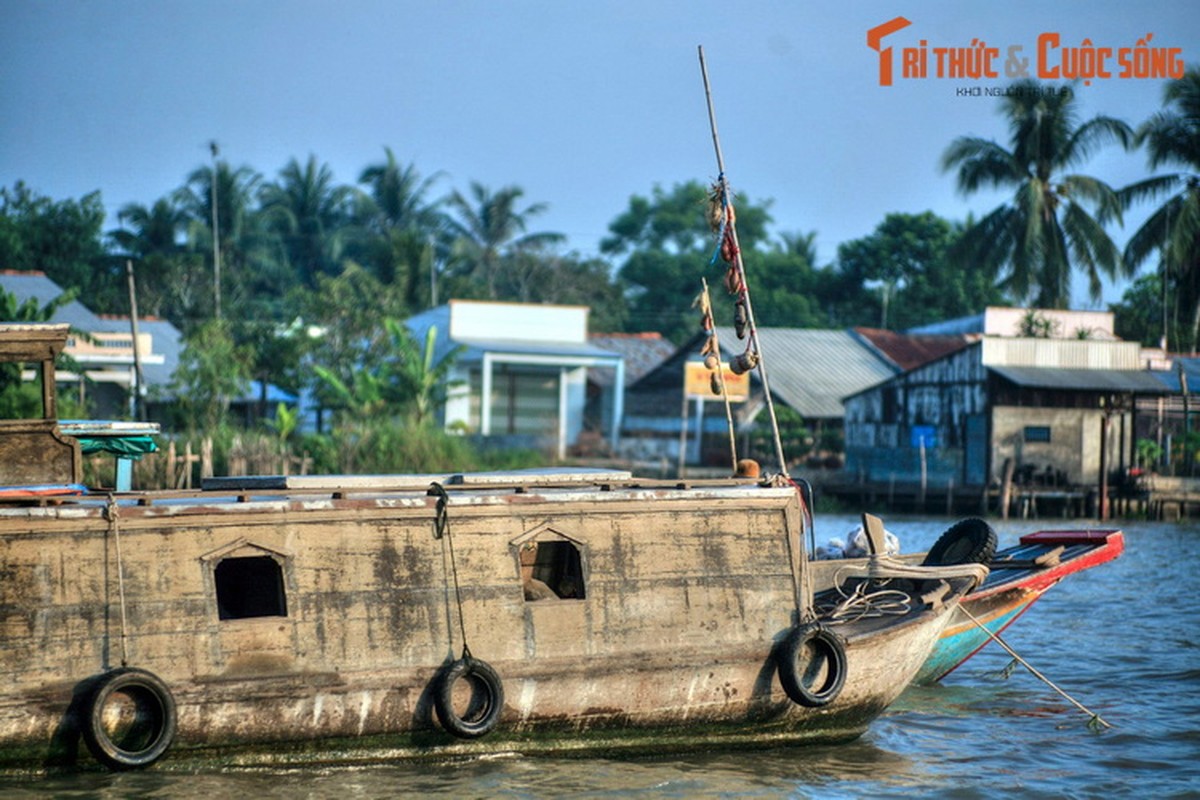 Nhung dieu ky thu cua cho noi Ba Ngan o Hau Giang-Hinh-7