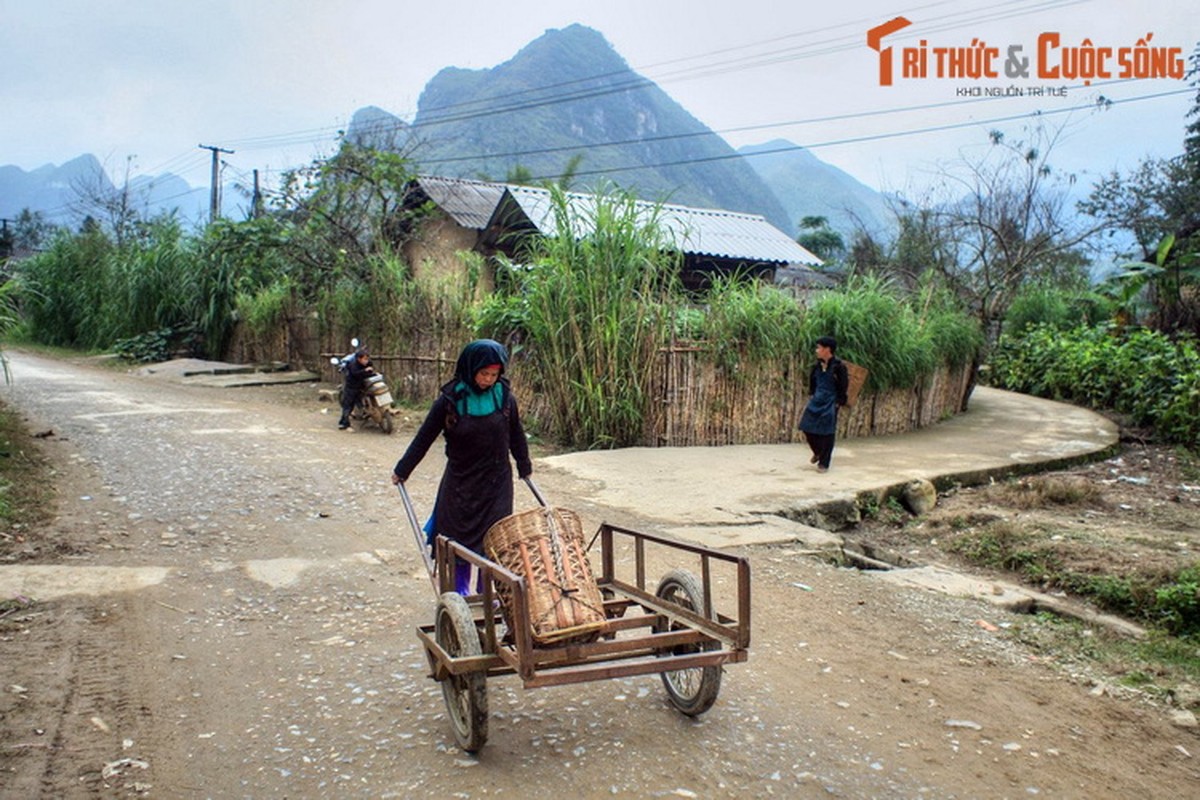 Lac loi giua ve dep nguyen so cua Pho Cao Ha Giang-Hinh-5