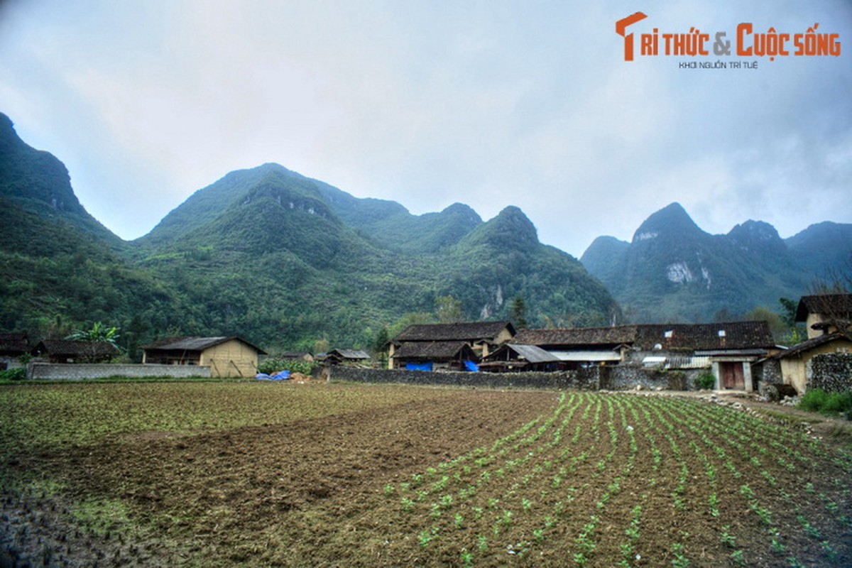 Lac loi giua ve dep nguyen so cua Pho Cao Ha Giang