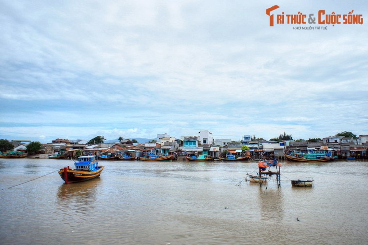 Chuyen thu vi ve song Ca Ty noi tieng cua Phan Thiet-Hinh-7