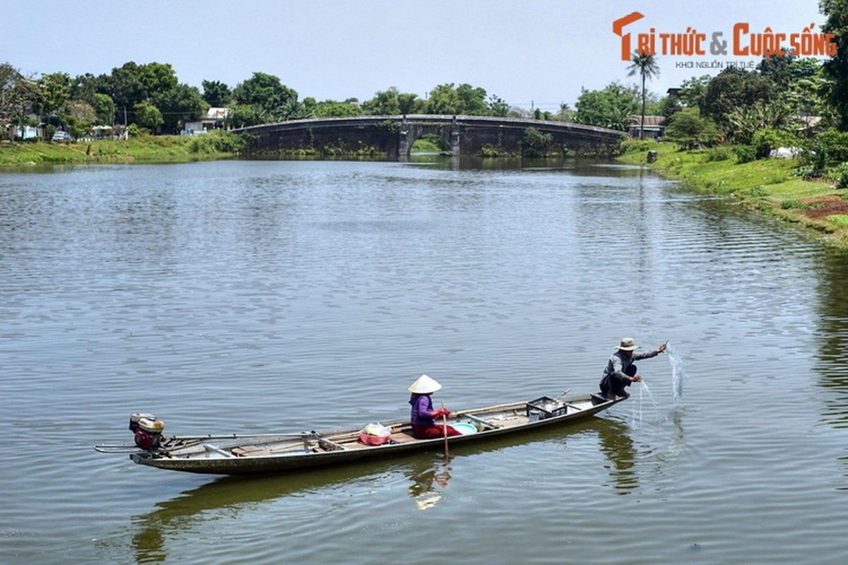 Dam chim trong ve dep mong mo cua cac dong song xu Hue-Hinh-14