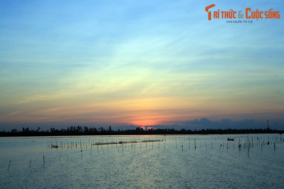 Ngan nguoi ngam binh minh va hoang hon tren dam Thi Tuong