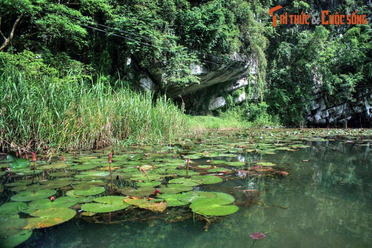 Dam chim trong ve dep so khai cua Thung Nang Ninh Binh-Hinh-8