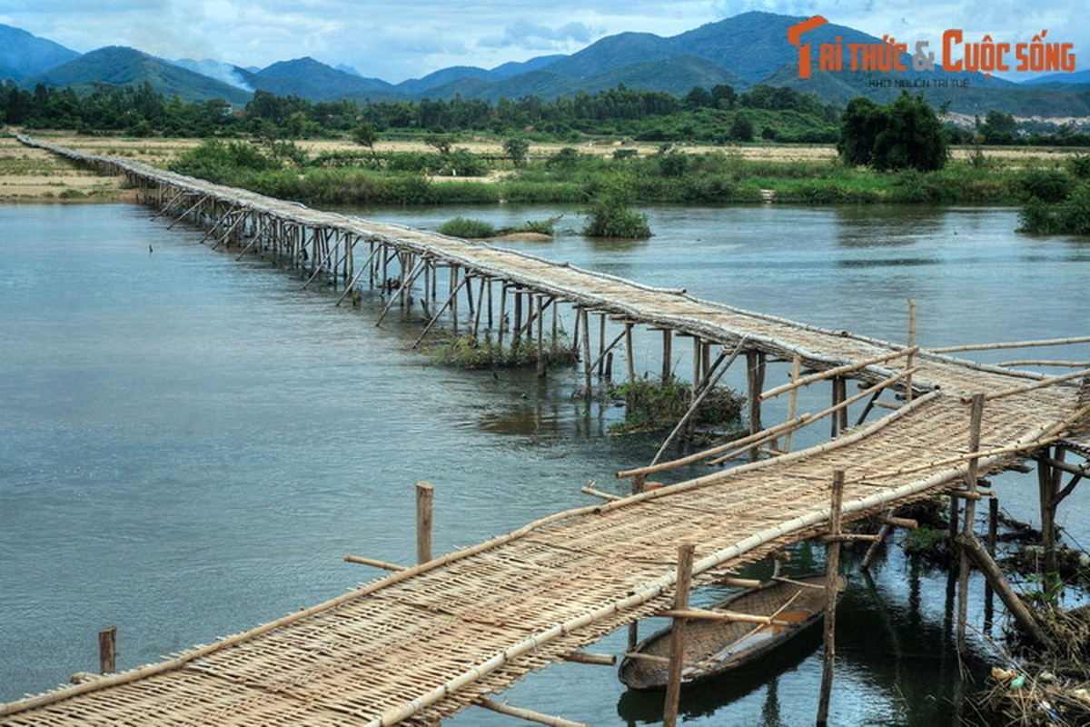 Thot tim khi di qua cay cau tre dai nhat mien Trung-Hinh-9