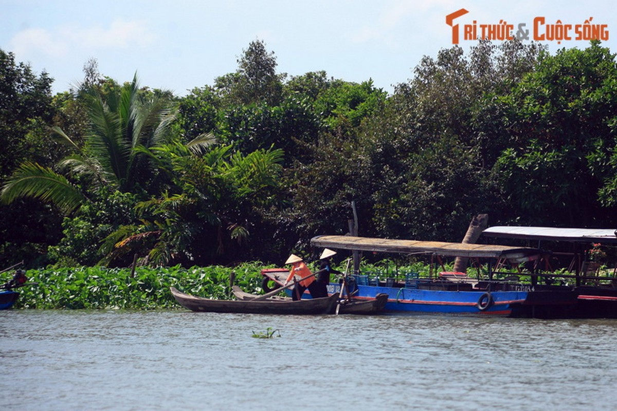 Ngac nhien voi dieu ky la o con Phung, Ben Tre-Hinh-2