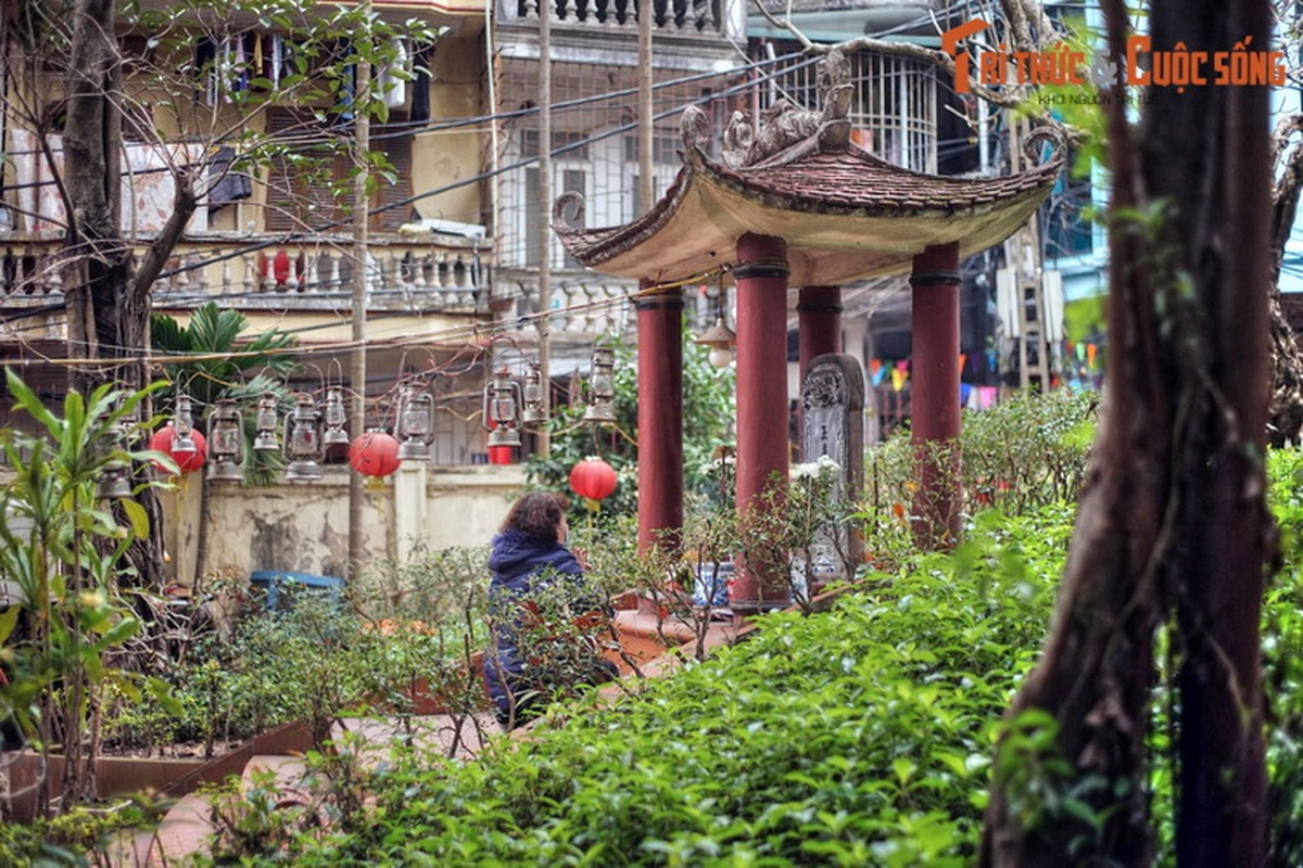 Go mo khong lo cua cong chua Ngoc Hoa giua trung tam Ha Noi-Hinh-6