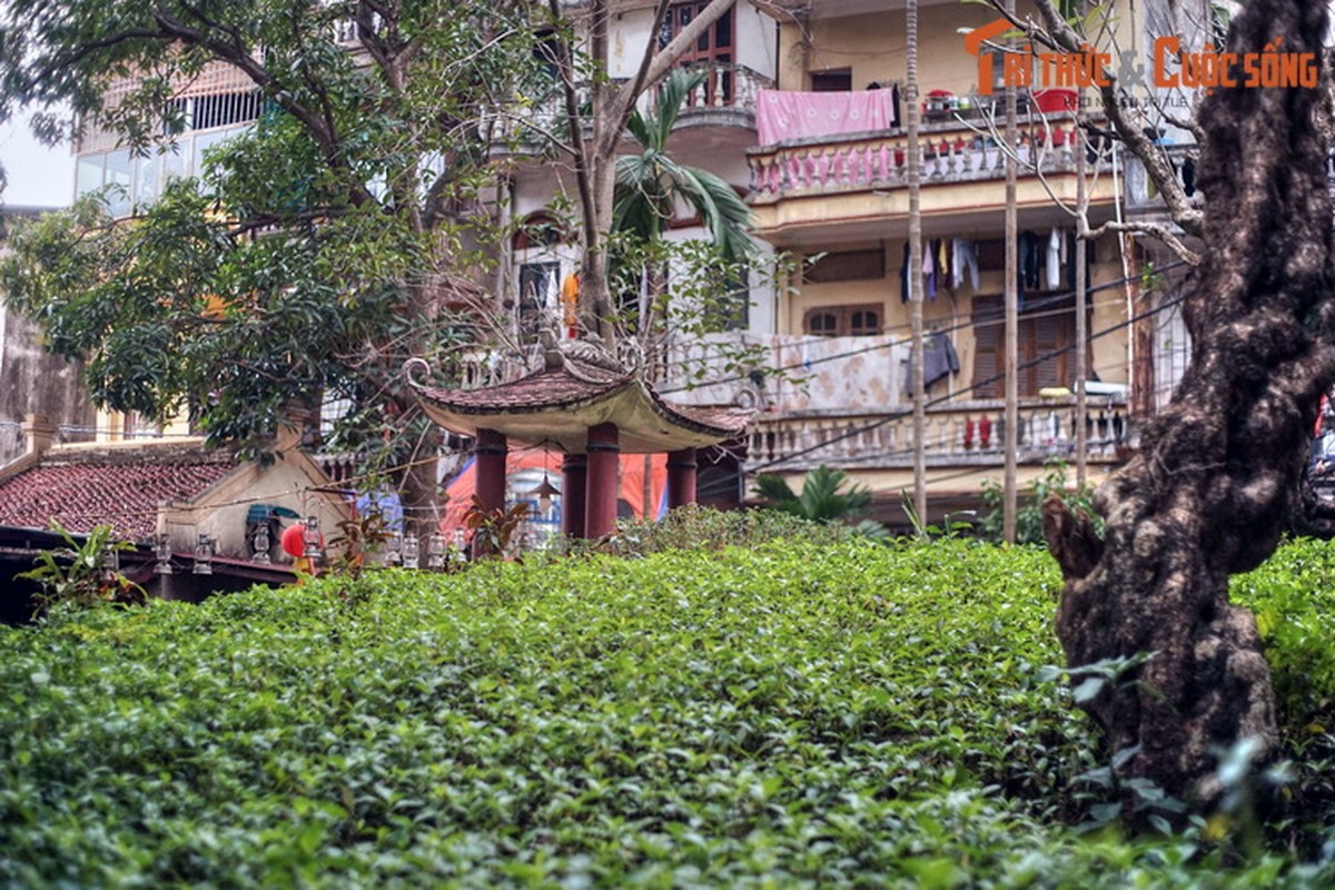 Go mo khong lo cua cong chua Ngoc Hoa giua trung tam Ha Noi-Hinh-9