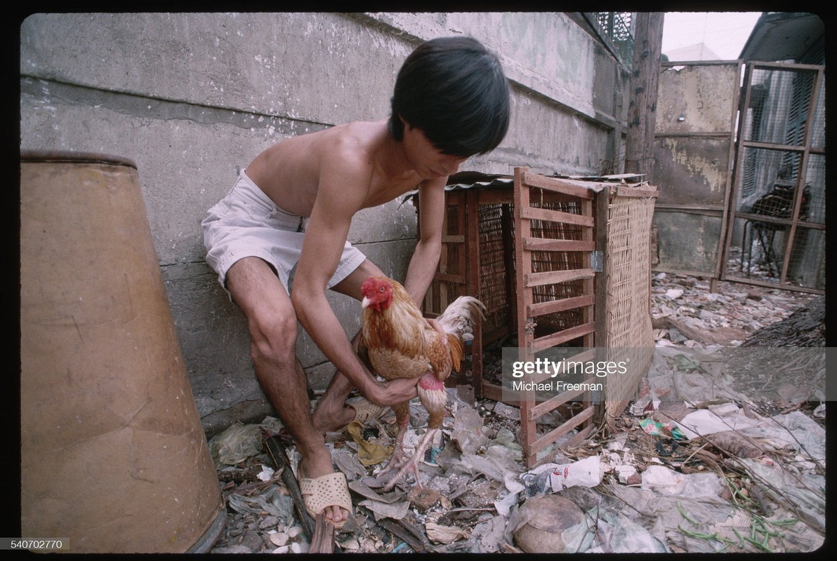 Ba mien Viet Nam nam 1994 qua anh cua Michael Freeman-Hinh-8